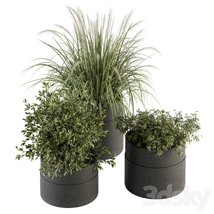 indoor Plant Set 250 - Plants Set in Pot 3D Model Free