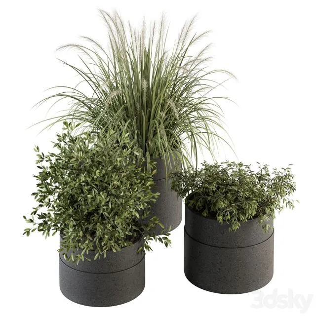 indoor Plant Set 250 - Plants Set in Pot 3D Model