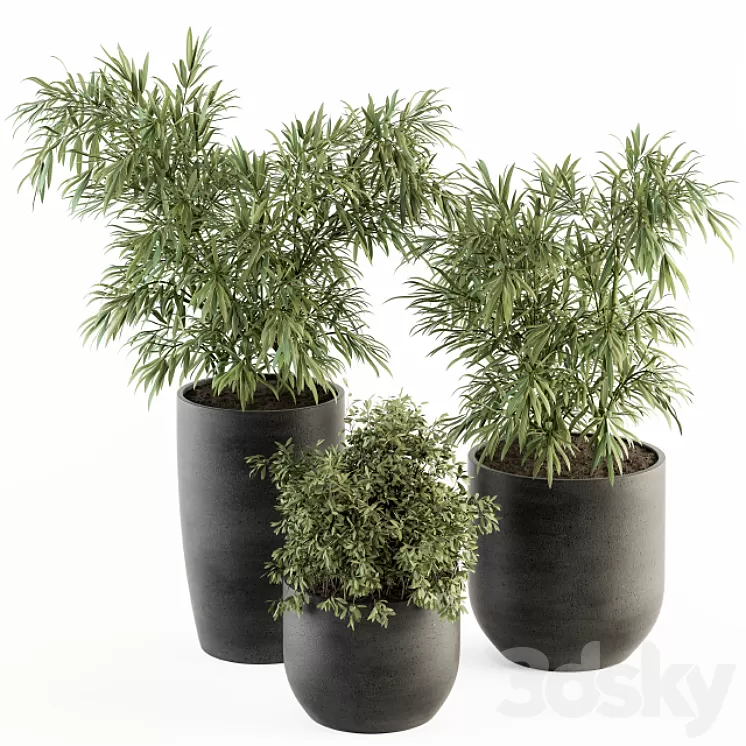 indoor Plant Set 253 - Plants Set in pot 3D Model