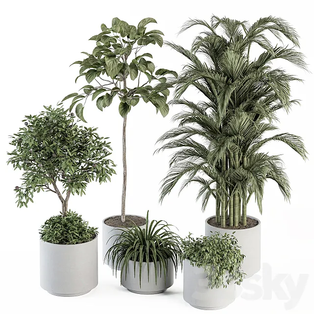 indoor Plant Set 257 - Plant Set in pot 3D Model