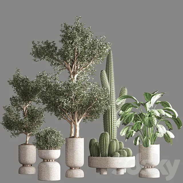 indoor plant set 26 3D Model