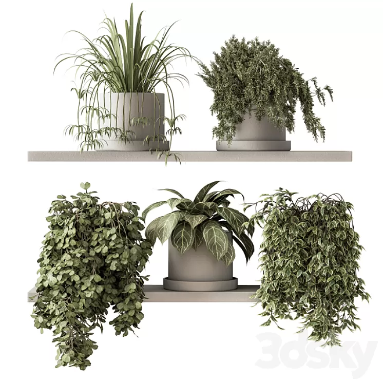indoor Plant Set 281 - Plant pot on shelves