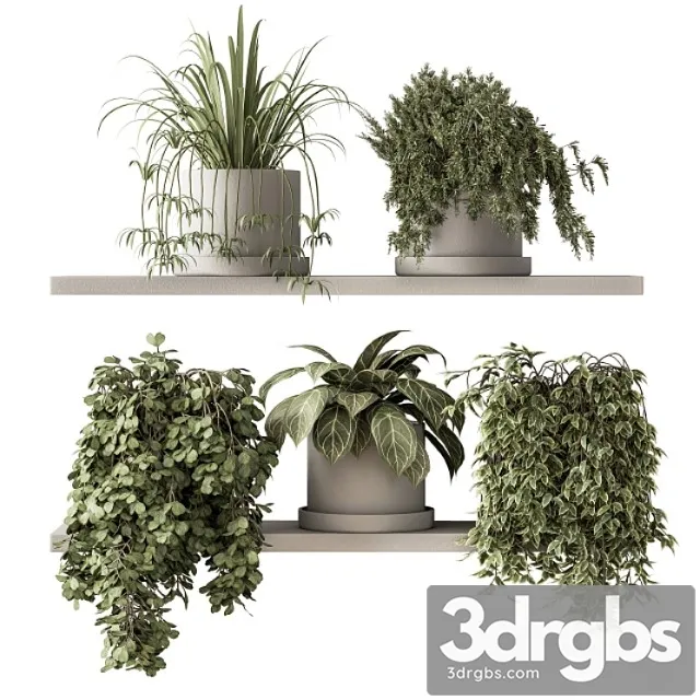 Indoor plant set 281 - plant pot on shelves