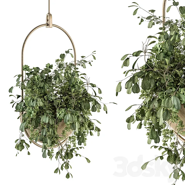 indoor Plant Set 283 - Hanging Plants 3D Model