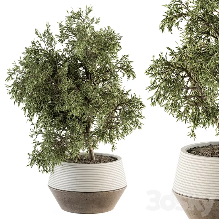 indoor Plant Set 285 - Plants Set in pot 3D Model Free