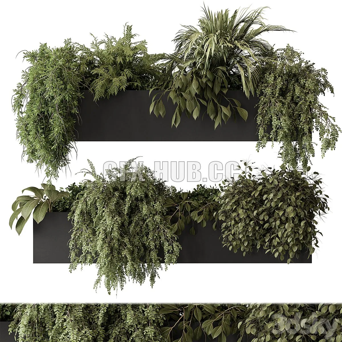 indoor Plant Set 297 - Hanging Plants 3D Model