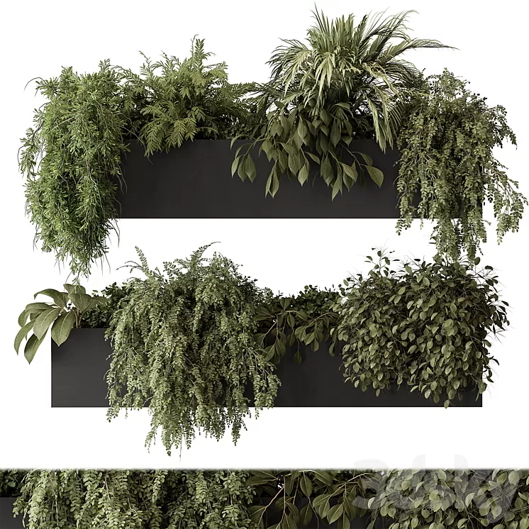 indoor Plant Set 297 - Hanging Plants 3D Model Free