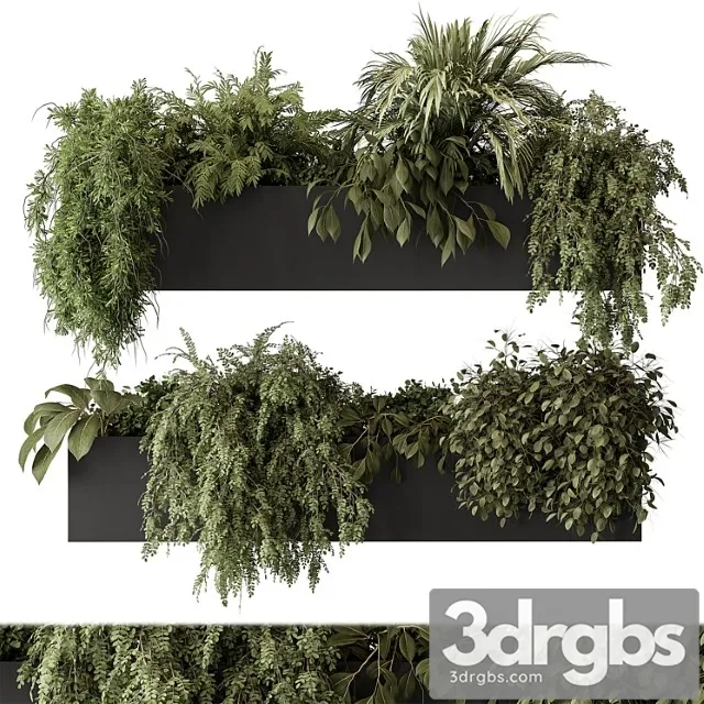 Indoor plant set 297 - hanging plants