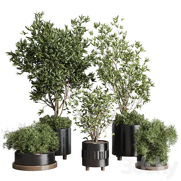 Indoor plant set 298 concrete vase plant tree bush pot 3D Model Free