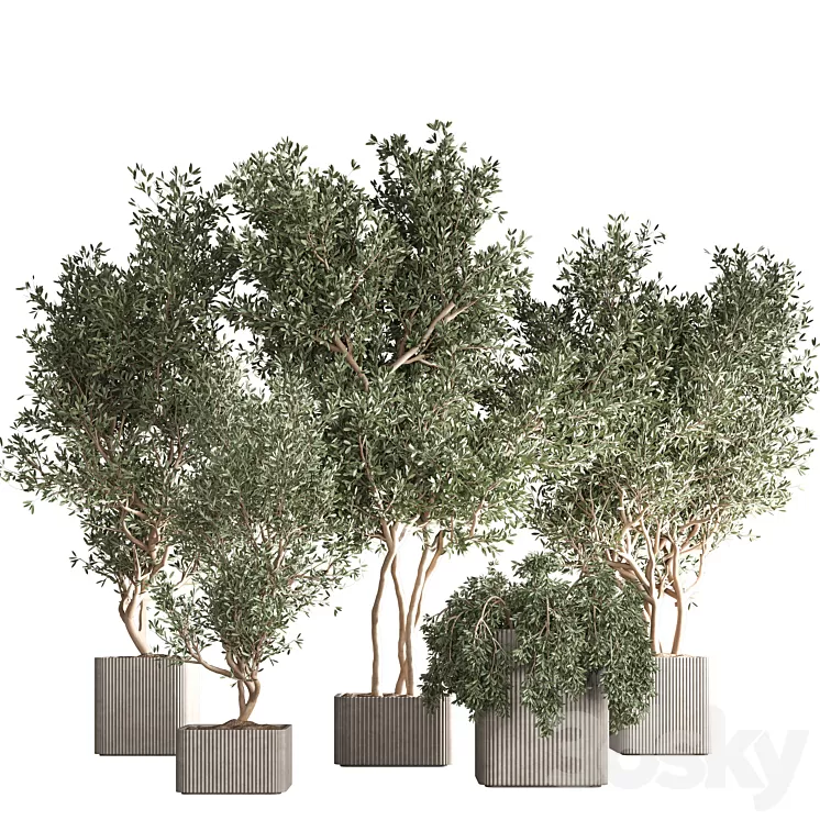 indoor plant set 30 3D Model Free