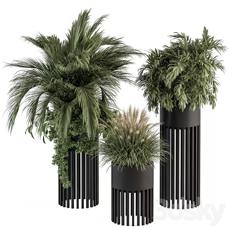 indoor Plant Set 301 - Plant Set in Round Stand Black pot 3D Model