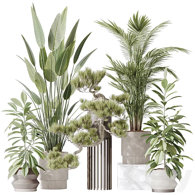 Indoor plant set 31 3D Model
