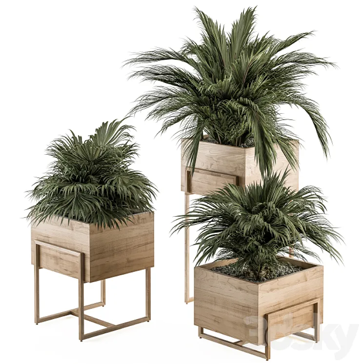 indoor Plant Set 318 - Plant Set in Wood Box 3D Model Free