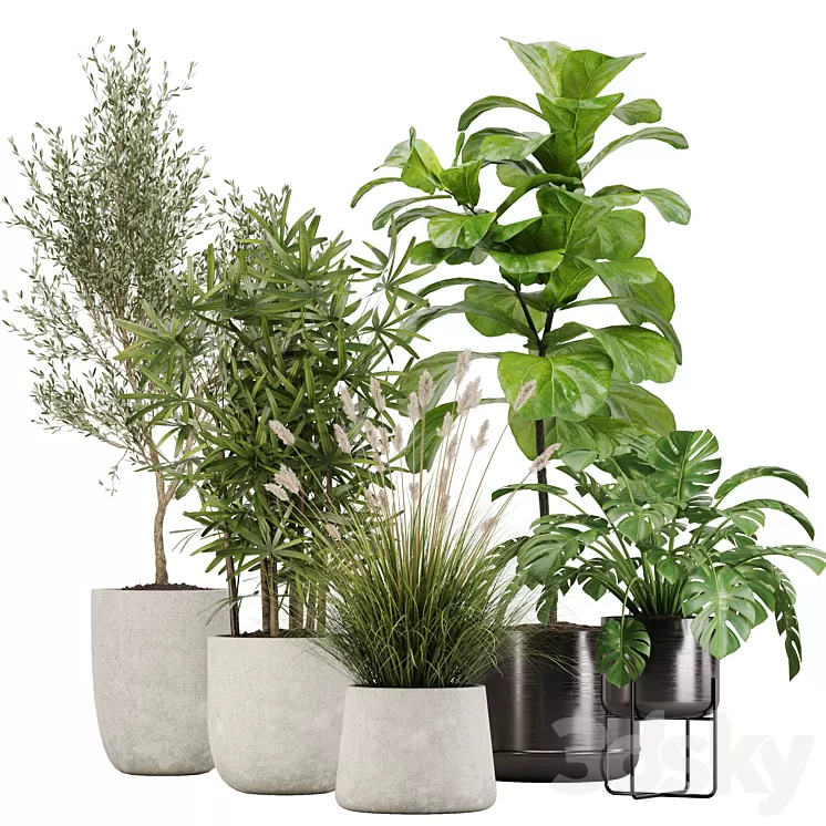 indoor plant set 32