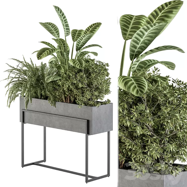 indoor Plant Set 321 - Plant Set in Black Box 3D Model Free