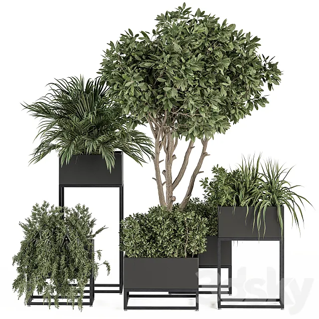 indoor Plant Set 327 - Plant Set in Black Box 3D Model