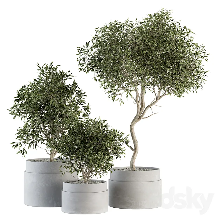 indoor Plant Set 340- Tree and Plant Set in pot 3D Model Free