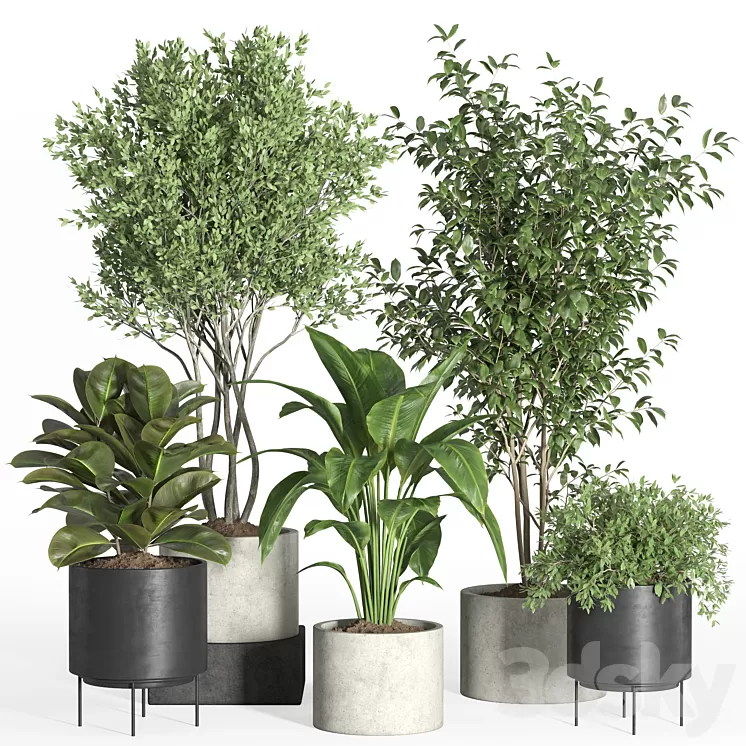 indoor plant set 35-concrete and metal pot 3D Model Free