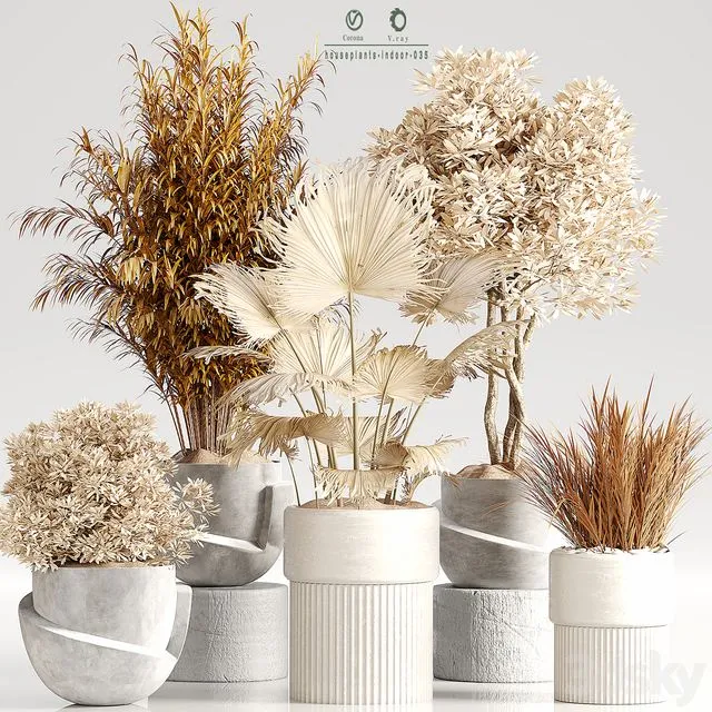 Indoor Plant Set 35 Dry Plants Free Download