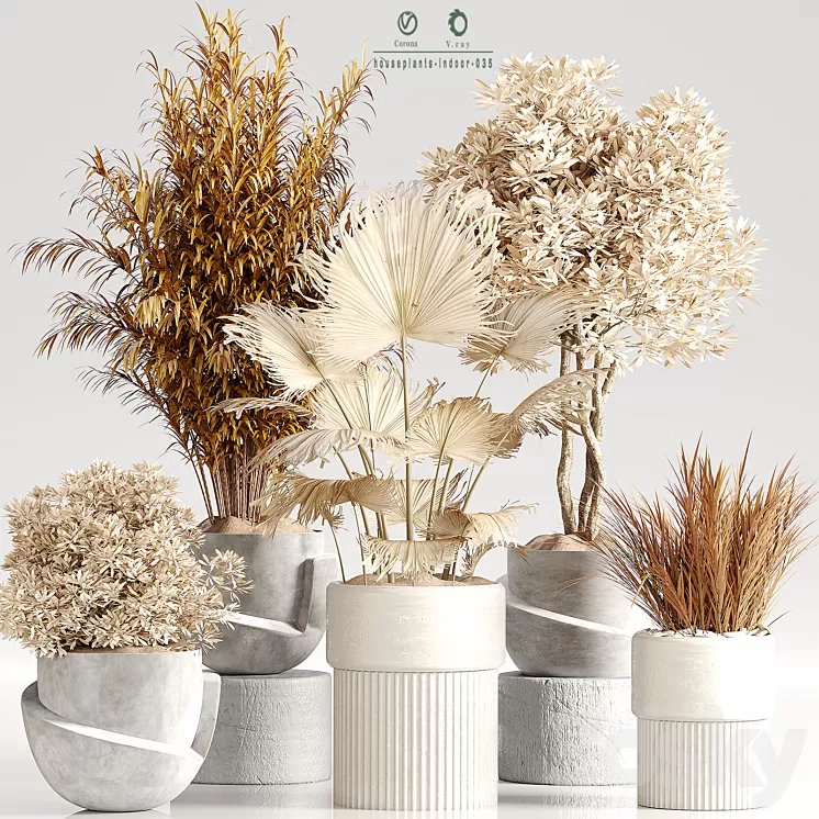 Indoor Plant Set 35 Dry Plants 3D Model Free