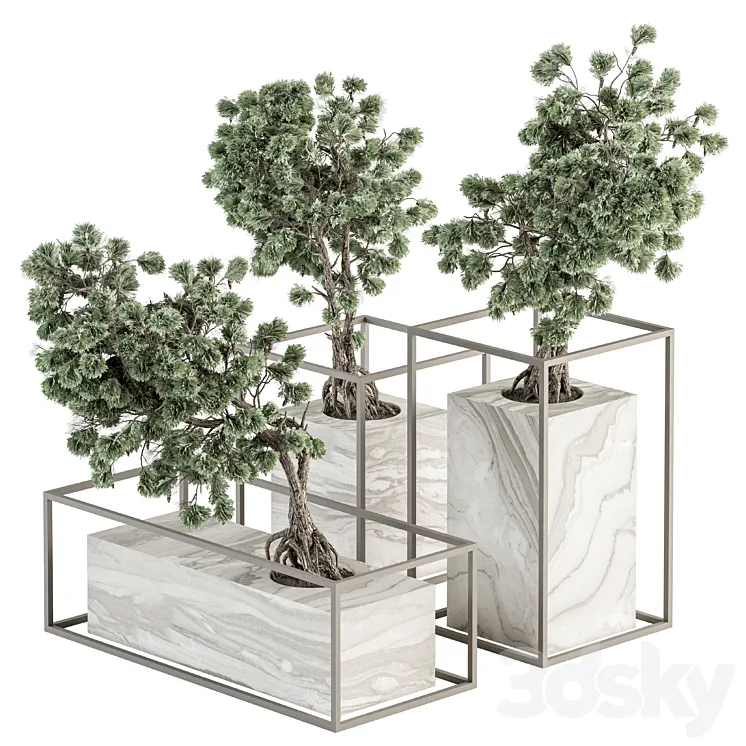 indoor Plant Set 358 - Bonsai Set Plant in pot 3D Model Free