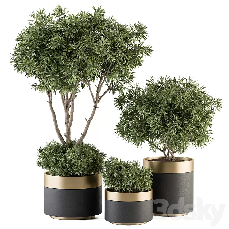 indoor Plant Set 361- Tree and Plant Set in pot 3D Model Free