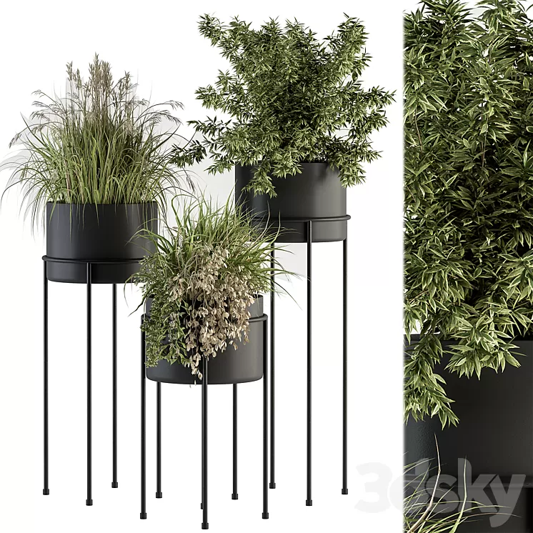 indoor Plant Set 370 - Tree and Plant Set Stand pot 3D Model Free