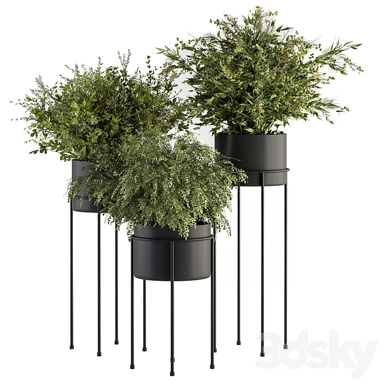 indoor Plant Set 371- Bush and Plant Set in Black stand 3D Model Free