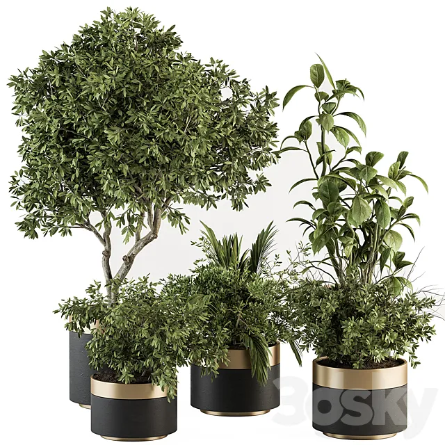 indoor Plant Set 373- Tree and Plant Set in pot 3D Model