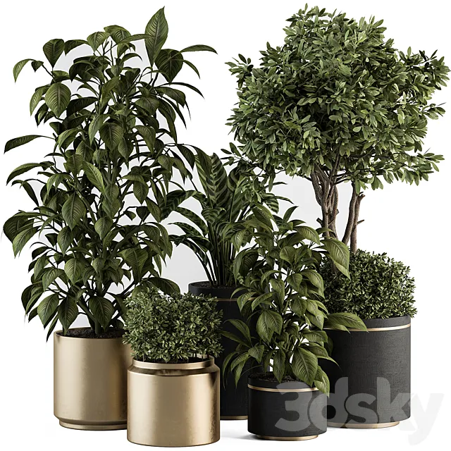 indoor Plant Set 378- Tree and Plant Set in pot 3D Model