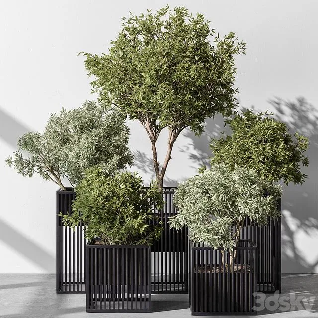Indoor plant set 380- Set of potted trees and plants 3D Model