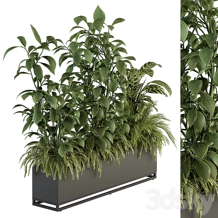 indoor Plant Set 383 - Plant Set in Box 3D Model