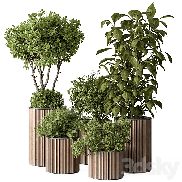 indoor Plant Set 388- Tree and Plant Set in pot 3D Model Free