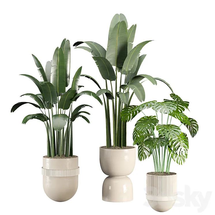 indoor-plant-set 3D Model Free