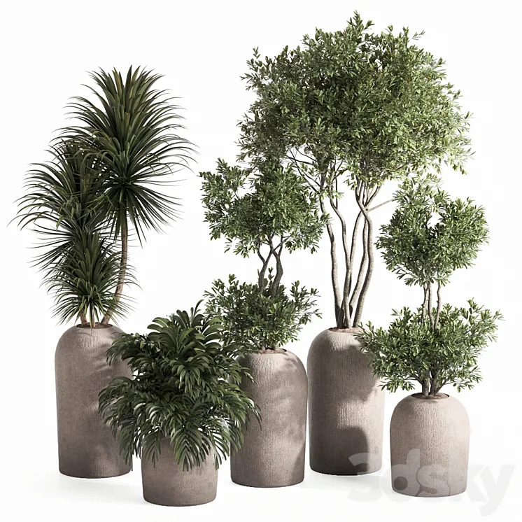 indoor plant set 3D Model Free
