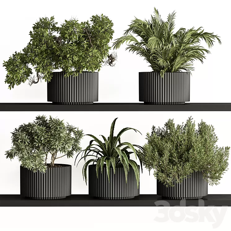 indoor Plant Set 402 - Small Plant pot 3D Model Free