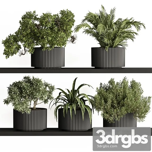 Indoor plant set 402 - small plant pot
