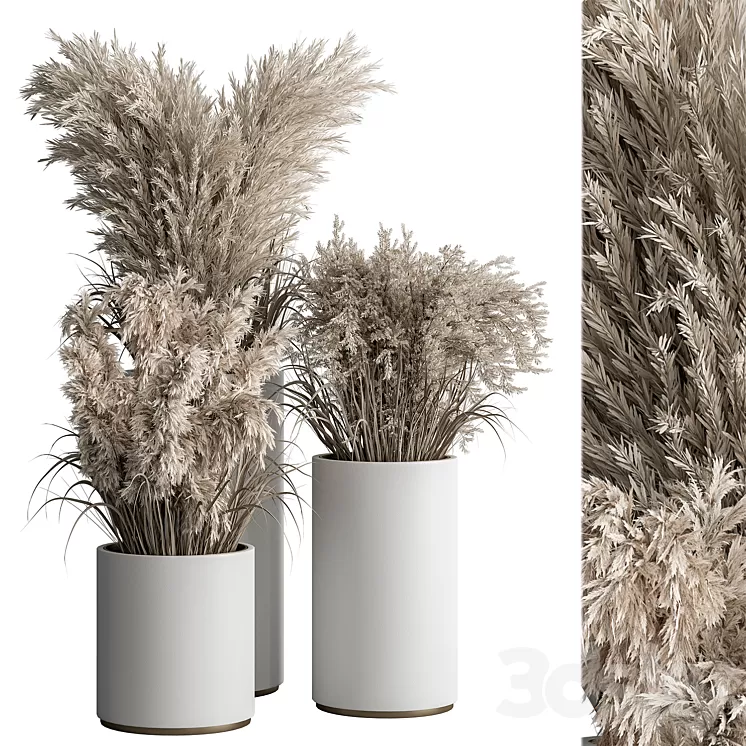 indoor Plant Set 406 - Dried Plant Set in Pot 3D Model