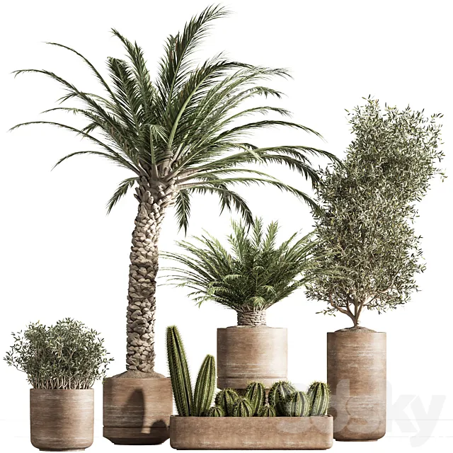 indoor plant set 41 3D Model