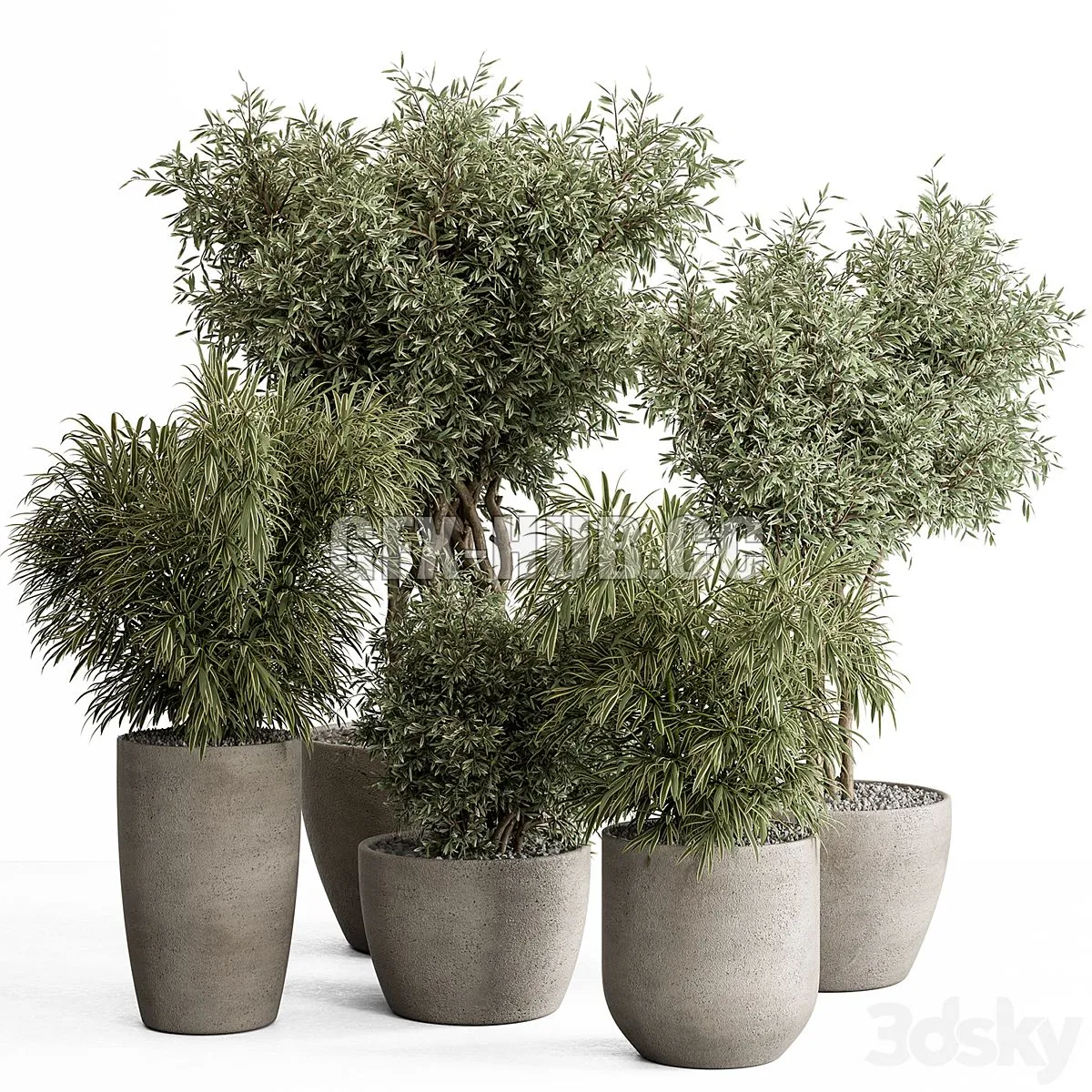 indoor Plant Set 417 - Tree and Bush 3D Model