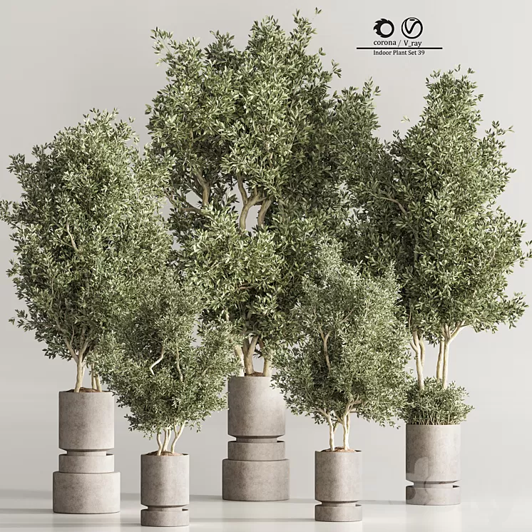 Indoor Plant Set 44 3D Model Free