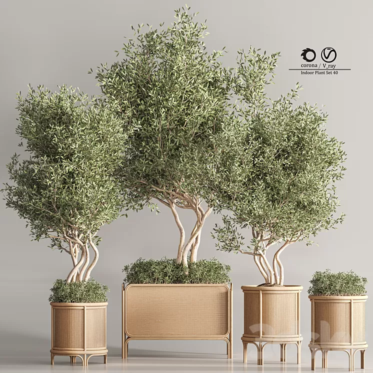 Indoor Plant Set 45 3D Model Free