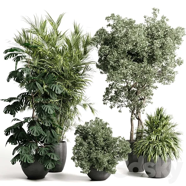 indoor plant set 452 plant bush monstera tree vase dirty concrete 3D Model