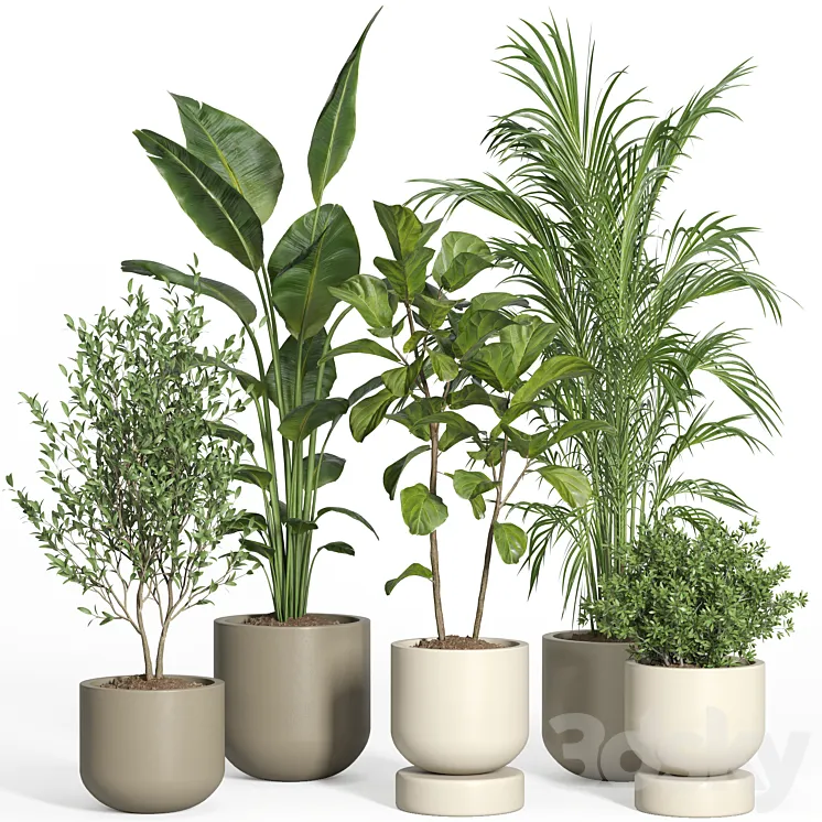 indoor plant set 47 3D Model Free