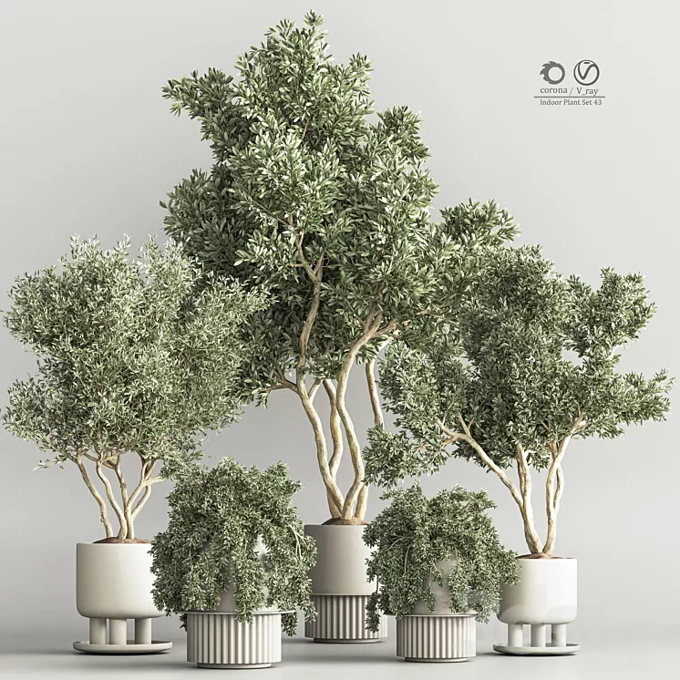 Indoor Plant Set 48 3D Model Free