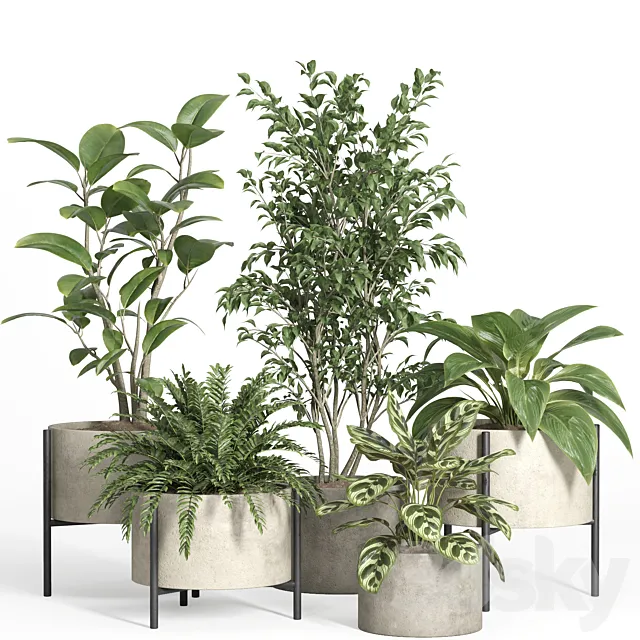 indoor plant set 52-concrete and metal pot 3D Model
