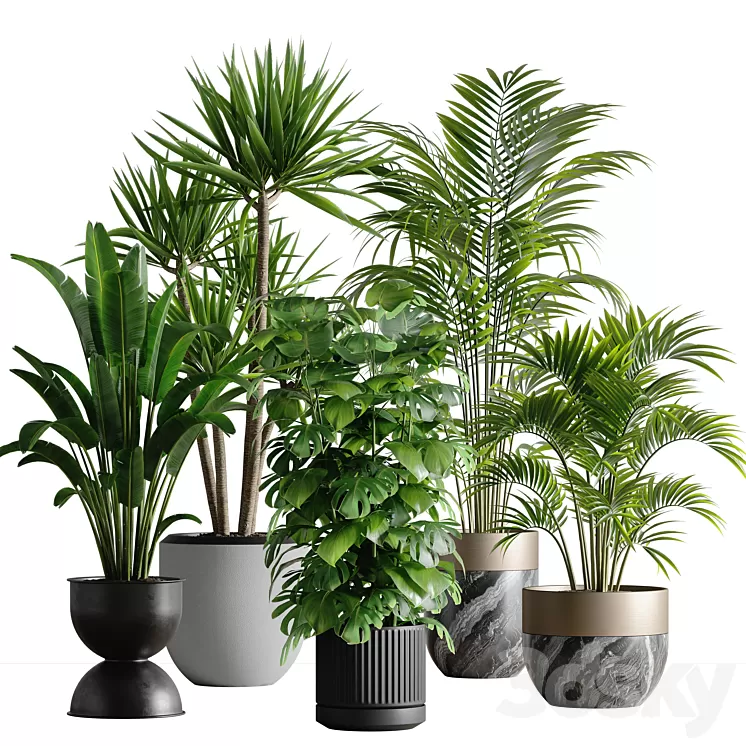 indoor plant set 53 3D Model Free