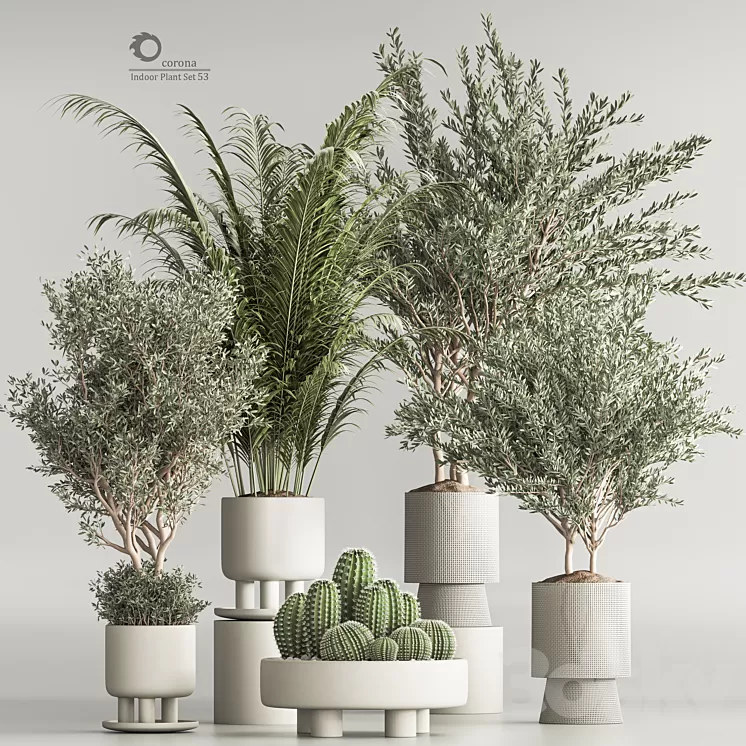 Indoor Plant Set 54(Corona) 3D Model