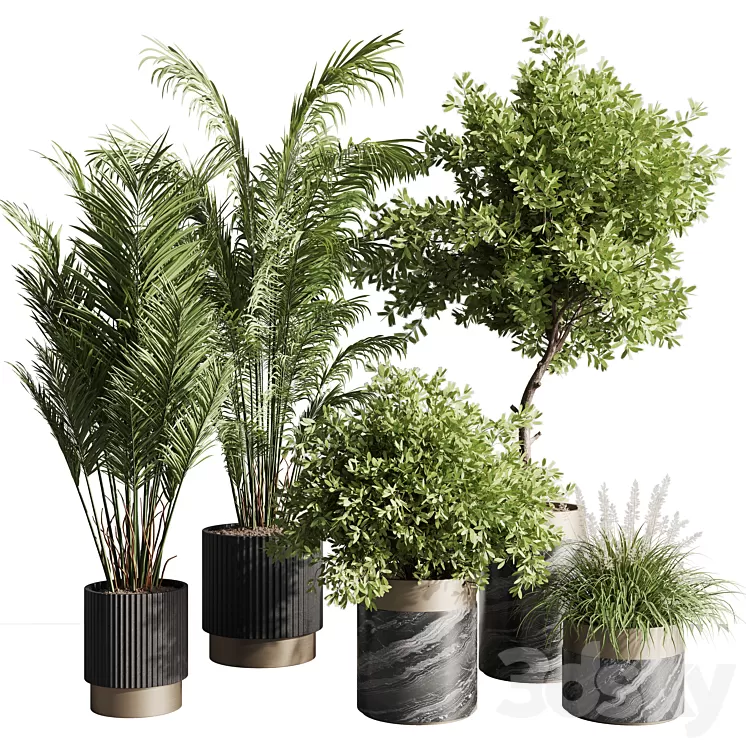 indoor plant set 57 3D Model Free