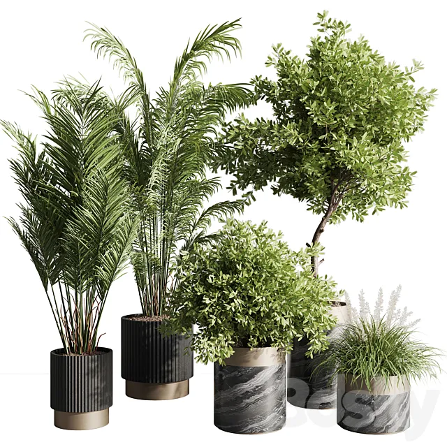 indoor plant set 57 3DModel